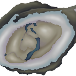 Oyster Door Hanger